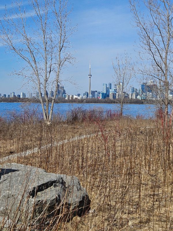Toronto skyline from the islands.
